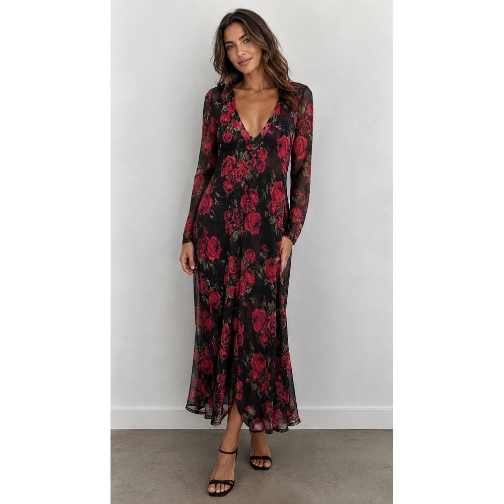 Audrey Lane Dress Womens Medium Black Red Rose Floral Sheer Mesh VNeck Maxi Long